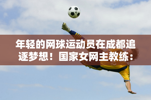 这也为李铁