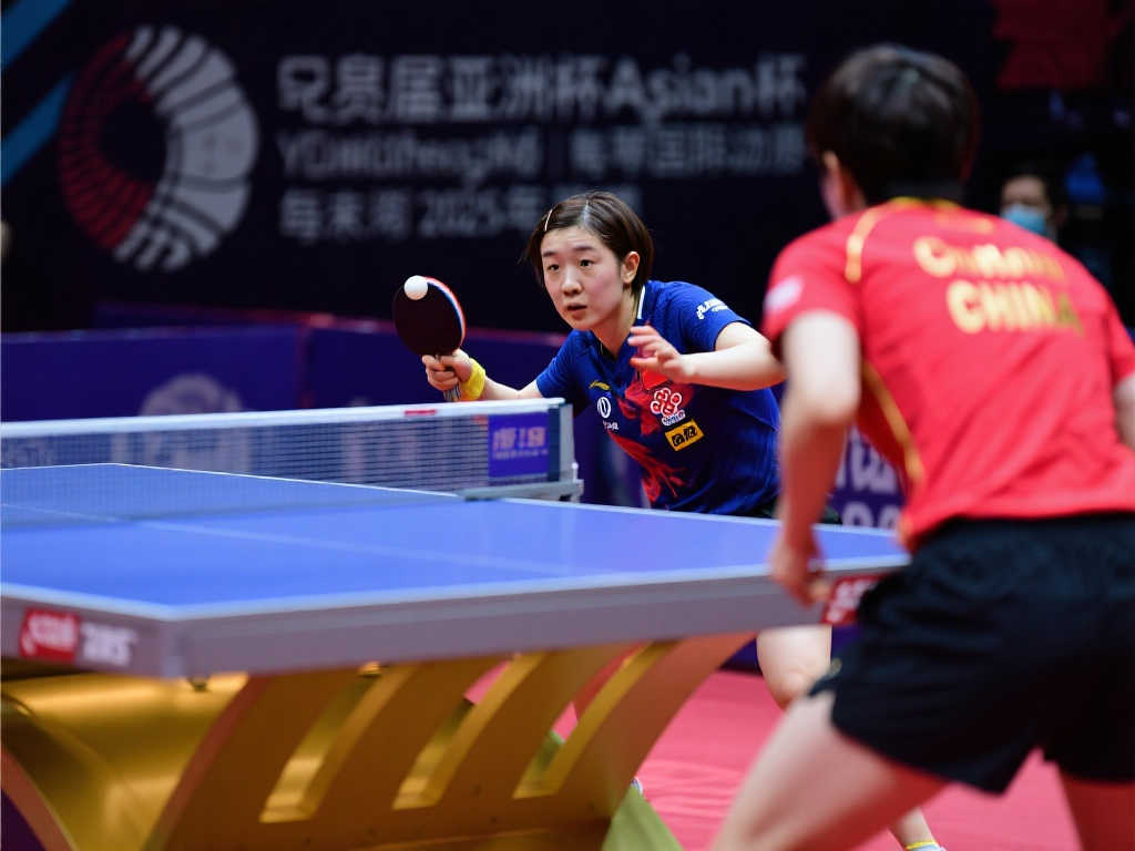 和观赏性 和观赏性